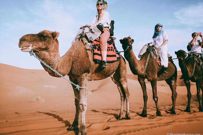 2 Days Luxury Desert Trip [Fes to Fes or Marakech] - Transportation Challenges and Solutions