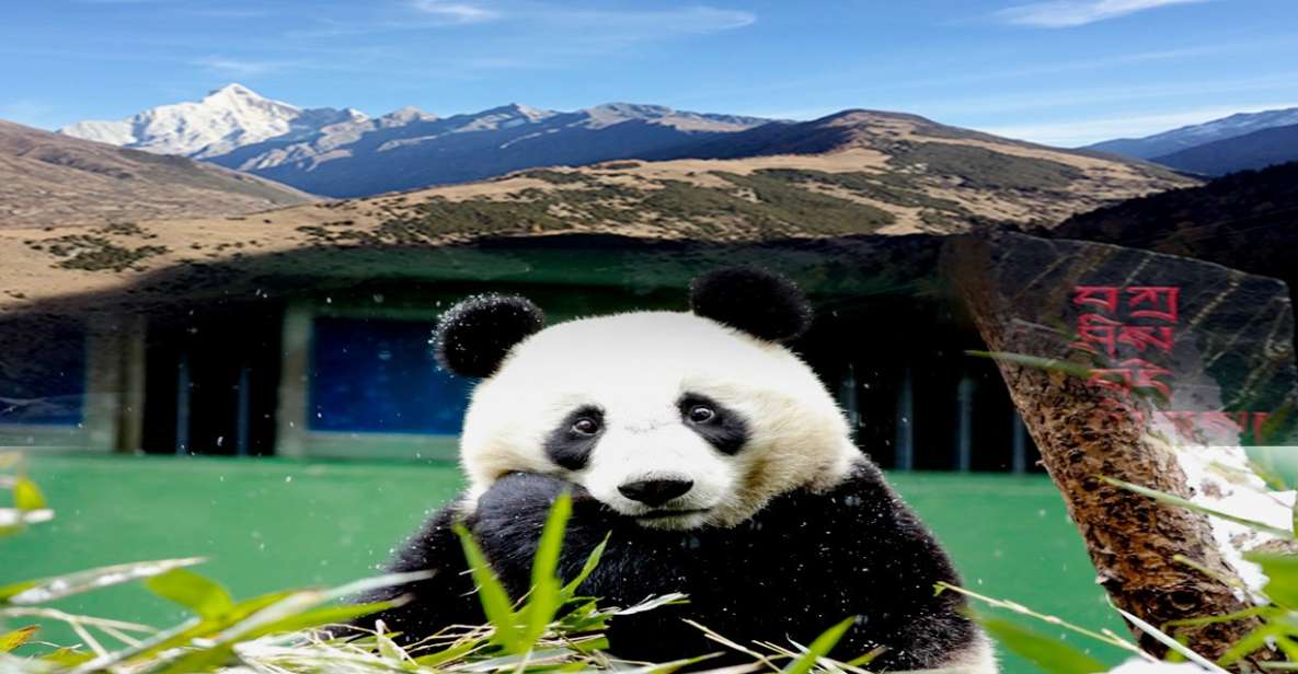 2 Days Mt. Siguniangwolong Panda Tour From Chengdu - Itinerary Details