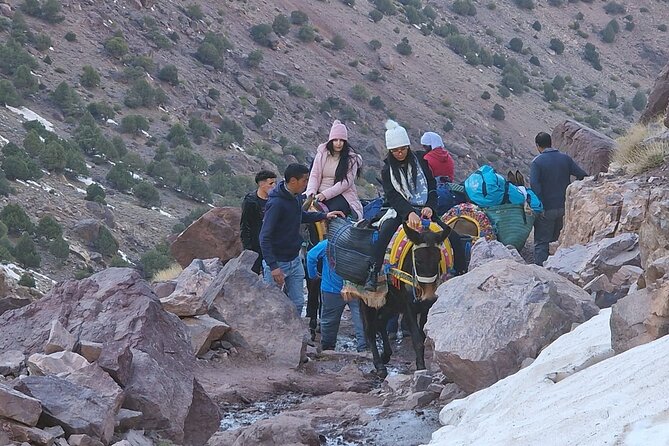 2 Days Mt Toubkal Trek - Inclusions