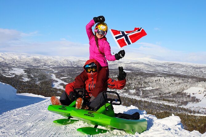 2-Hour Racing Toboggan at Dagali Fjellpark Near Geilo in Norway - Requirements and Restrictions