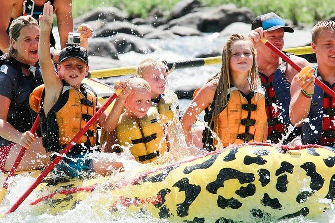 2 Hour Rafting on the Yellowstone River - Traveler Information