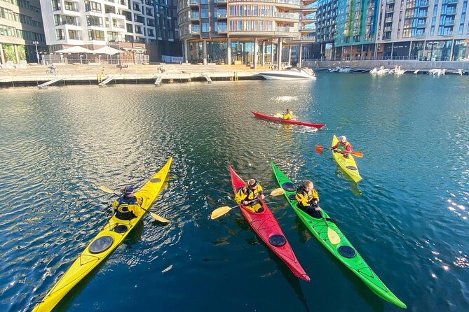 2 Hour Sea Kayak Tour on Oslofjord From Central Oslo - Tour Accessibility and Recommendations
