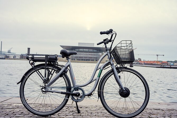 2 Hours Copenhagen E-Bike Guided Tours - Guide Performance