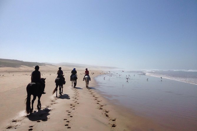 2 Hours Horse Ride Beach and Dunes in Essaouira Morocco - Inclusions