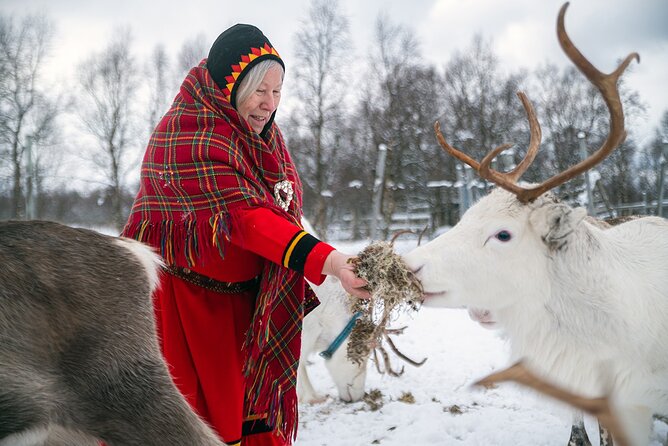 2 Hours Meet The Reindeer in Lofoten - Duration and Ticket Details
