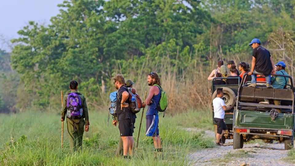 2 Night 3 Day Chitwan Jungle Safari Tour Package - Experience Highlights and Village Tour