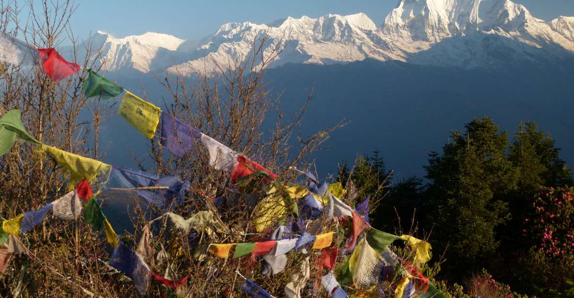 2 Night Ghorepani Poon Hill Trek From Pokhara - Highlights of the Trek