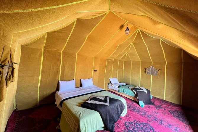 2 Nights Sahara Desert Camp & Camel Trek - Customer Feedback