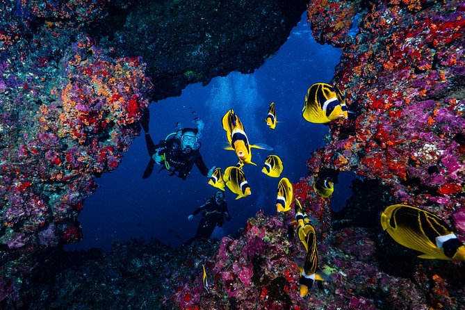 2 Tank Lanai Cathedral Dive - Logistics