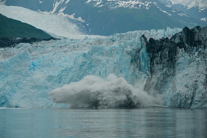 26 Glacier Cruise and Coach From Anchorage, AK - Cancellation Policy and Traveler Reviews