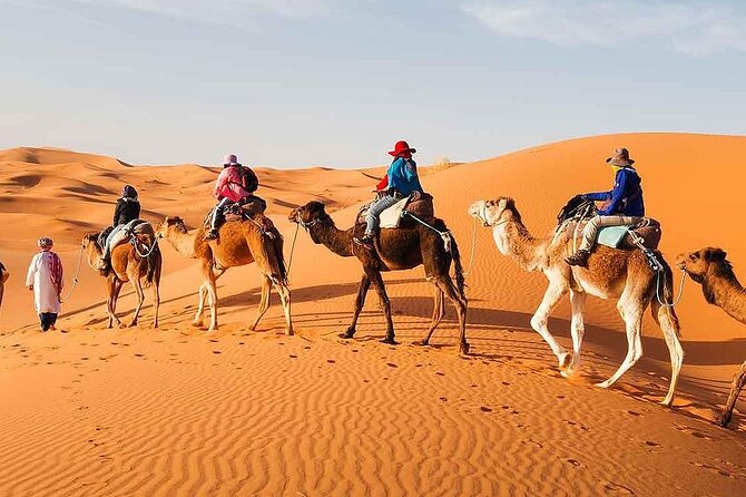 2Days Share Tour From Fes To Marrakech Via Sahara Desert Morocco - Pickup and Departure Details