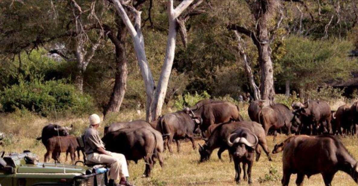 3 Day Hluhluwe & Isimangaliso Wetlands Pk Tour From Durban - Experience Highlights