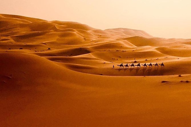 3-Day Sahara & Sightseeing Tour to Erg Chebbi From Marrakech - Inclusive Offerings
