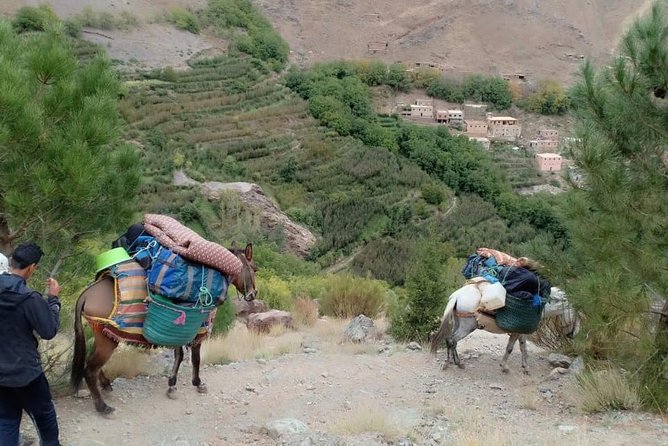 3 Day Trek in the Atlas Mountains and Berber Villages From Marrakech - Guided Tours and Local Experiences