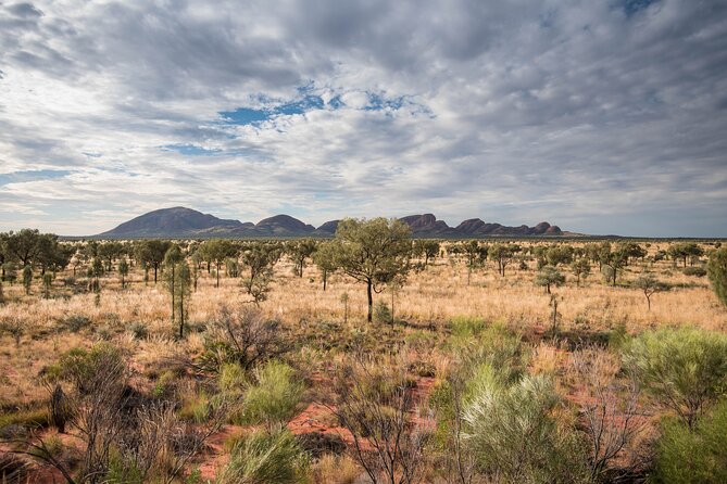 3-Day Uluru & Kings Canyon Express From Alice Springs - Itinerary Highlights