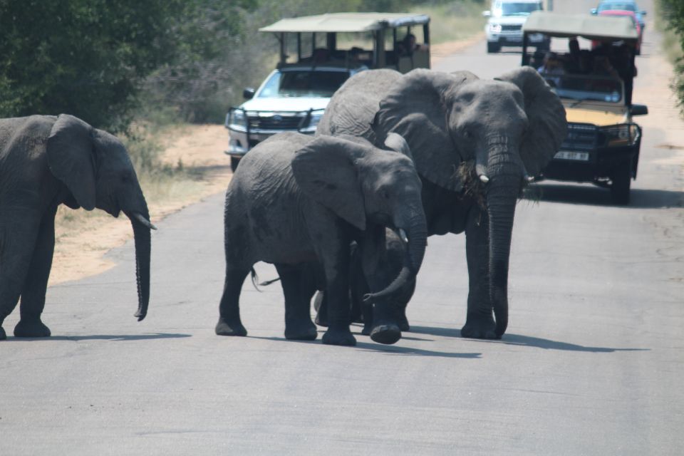 3 Days 2 Nights Panorama Tour & Kruger National Park Safari - Booking Details