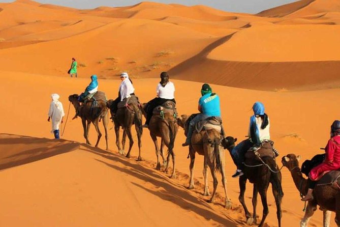 3 Days Desert Tour From Marrakech To Merzouga Dunes & Camel Trek - Customer Reviews and Feedback