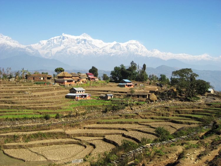 3 Days Dhampus Trek From Kathmandu - Detailed Itinerary Day 2