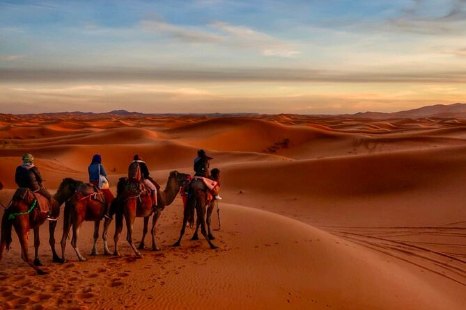 3 Days Excursion Into Merzouga Desert - Cultural Immersion Opportunities