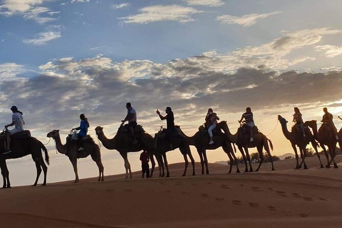 3 Days Group Desert Tour With Glamping - Booking and Reservation Process