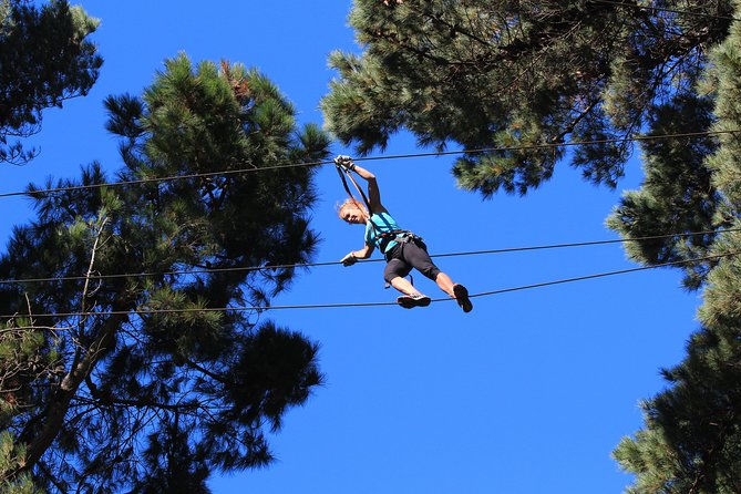 3-Hour Admission to Forest Obstacle Course, Auckland - Safety Measures and Gear