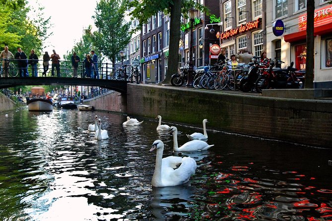 3 Hour Amsterdam Private Guide Walking Tour With an Amsterdam Born Raised Guide - Inclusions and Focus