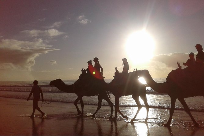 3-Hour Camel Ride at Sunset - Pricing and Booking Information