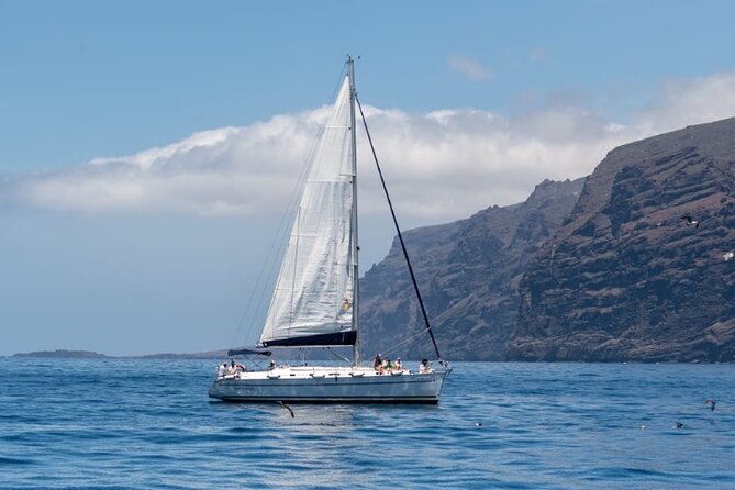 3-Hour Cetacean Watching and Snorkeling Tour in Tenerife - Cetacean Watching Experience