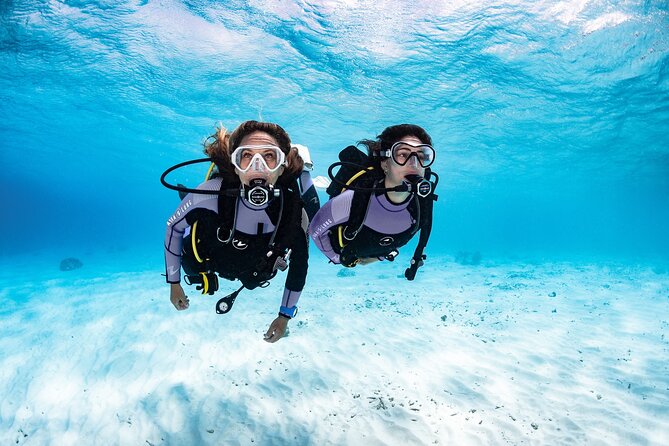 3-Hour Guided PADI Scuba Diving Experience in Tenerife - Participant Requirements