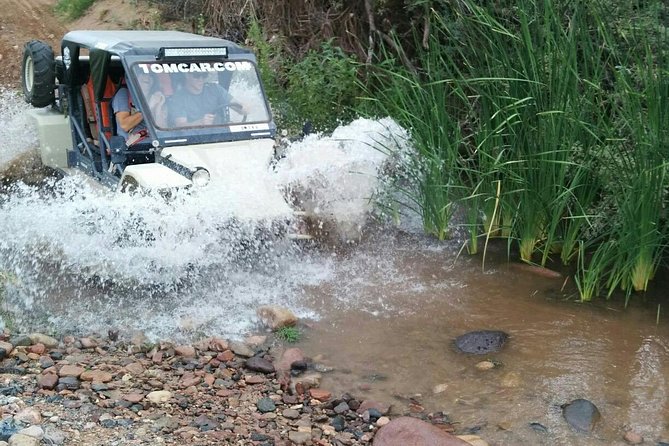 3 Hour Guided TomCar ATV Tour in Sonoran Desert - Booking and Logistics