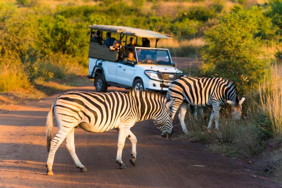 3-Hour Private Game Drive in Pilanesberg National Park - Pickup Information