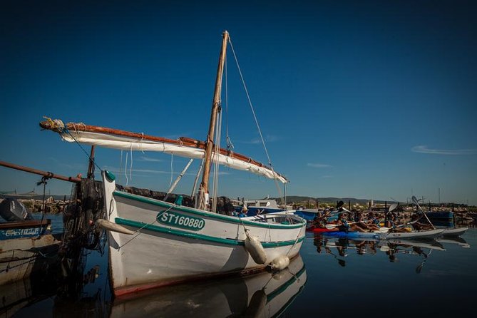 3 Hour Sea Kayak Trip in the Canals of Sete - Traveler Engagement