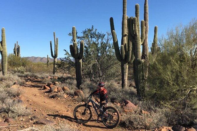3 Hour Sonoran Desert Private Guided Mountain Bike Tour - Price Information