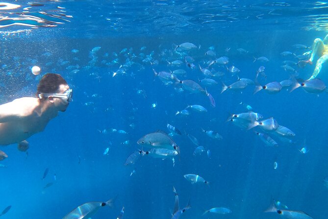 3 Hours Aquarium and Margaritas Islands Excursion - Memorable 3-Hour Excursion