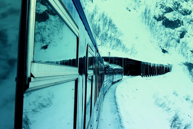 3 Hours Northern Lights Train With Guide - Guides Expertise and Assistance