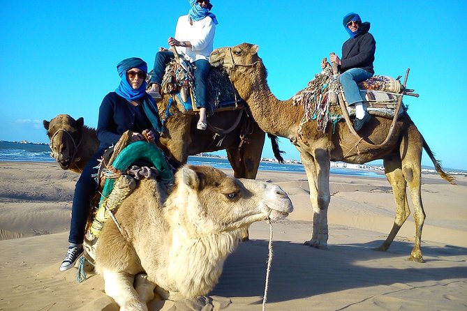 3 Hours Ride on Camel at Sunset - Sunset Camel Ride Itinerary