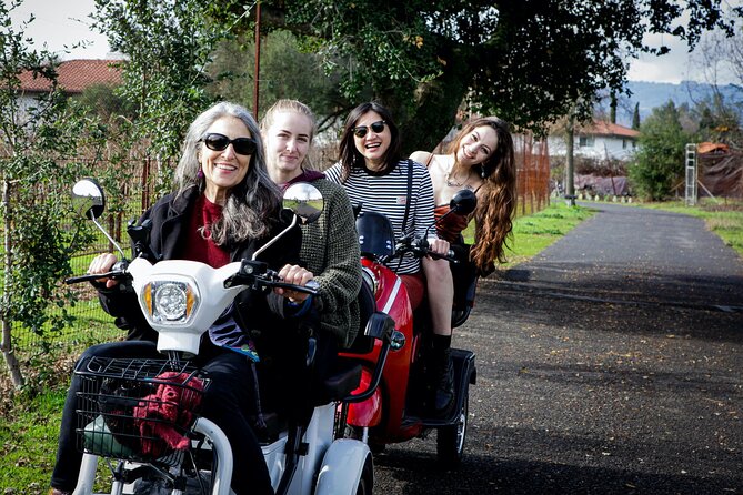 3 Hr Guided Wine Country Tour in Sonoma on Electric Trike - Customer Experience and Feedback