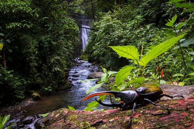 3-in-1 Monteverde Cloud Forest Waterfalls, Wild Trekking and Horseback Riding - Booking Details