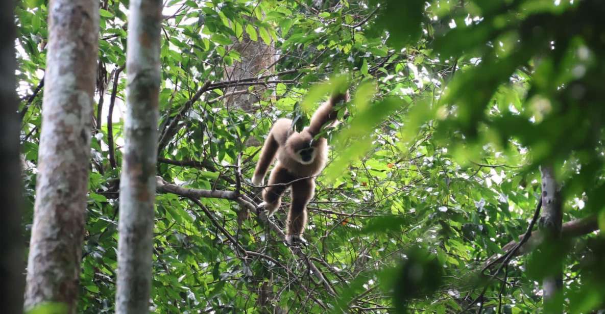 3D2N Orangutan Expedition:from Bukit Lawang - Flexible Experience Options Available