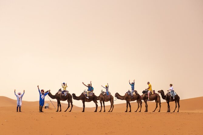 4 Day Desert Tour From Marrakech to Fez - Transportation Details