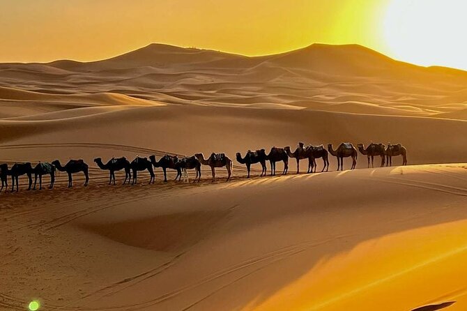 4 Days Desert Tour From Marrakech Merzouga Dunes & Camel Trek - Pricing and Inclusions