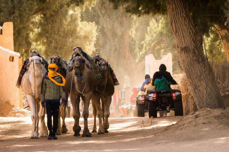 4 Days Tour to Tozeur, Douz, Jeep 4x4, Camel Ride, El Jem - Transportation and Pickup