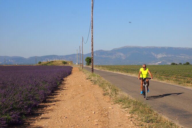 4-Hour Lavender Fields Tour in Valensole From Aix-En-Provence - Itinerary Details