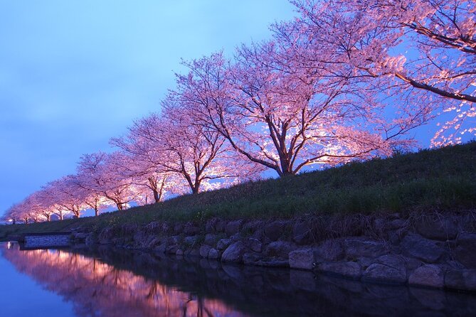 4 Hour Private Cherry Blossom "Sakura" Experience in Nagasaki - Copyright Notice