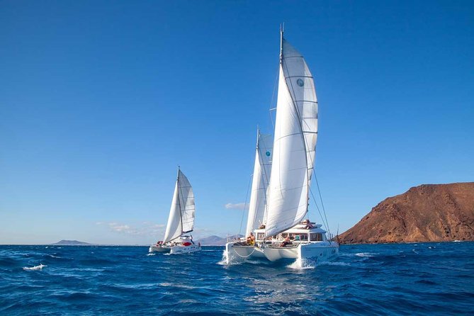 4-Hour Sailing Tour of Lobos Island From Fuerteventura - Delicious Onboard Spanish Paella