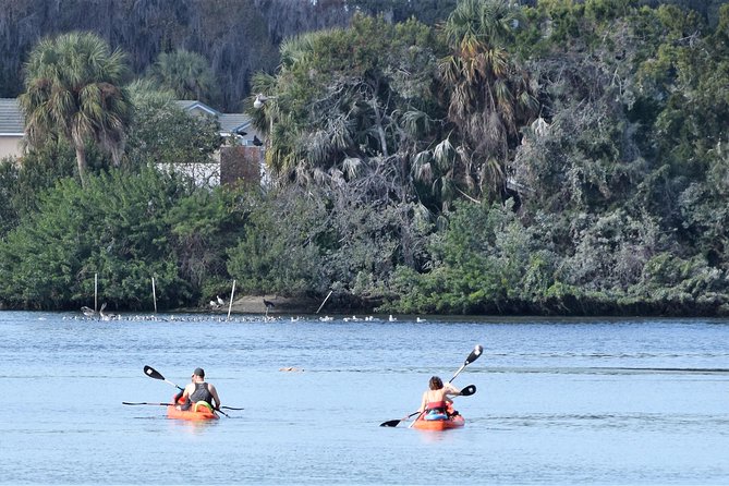 4 Hour Tandem Kayak Rental For Two People In Crystal River, Florida - Inclusions