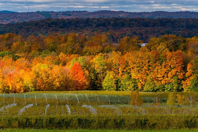 4-Hour Traverse City Sunset Wine Tour: 3 Wineries on Old Mission Peninsula - Wine Tasting Experience