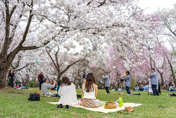 4 Hour Unique Kanazawa Cherry Blossom Sakura Private Experience - Itinerary for the 4-Hour Private Tour