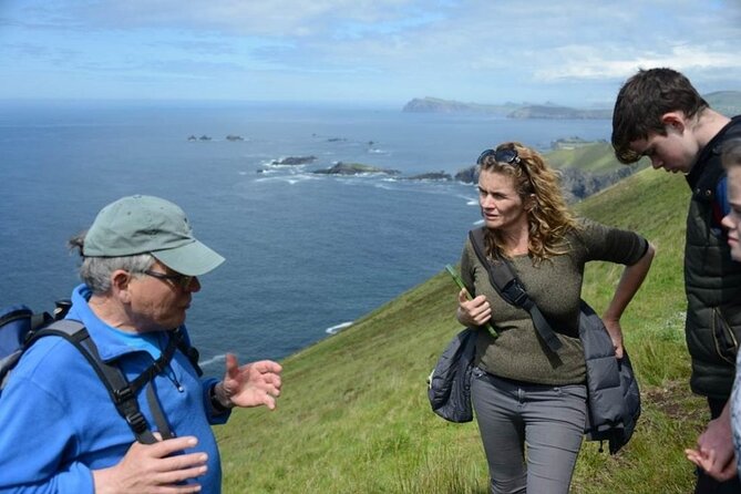 4 Hours Dingle Peninsula Private Tour - Booking Information