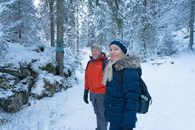 4 Hours Winter View of the Oslofjord Walk Tour - Itinerary Highlights